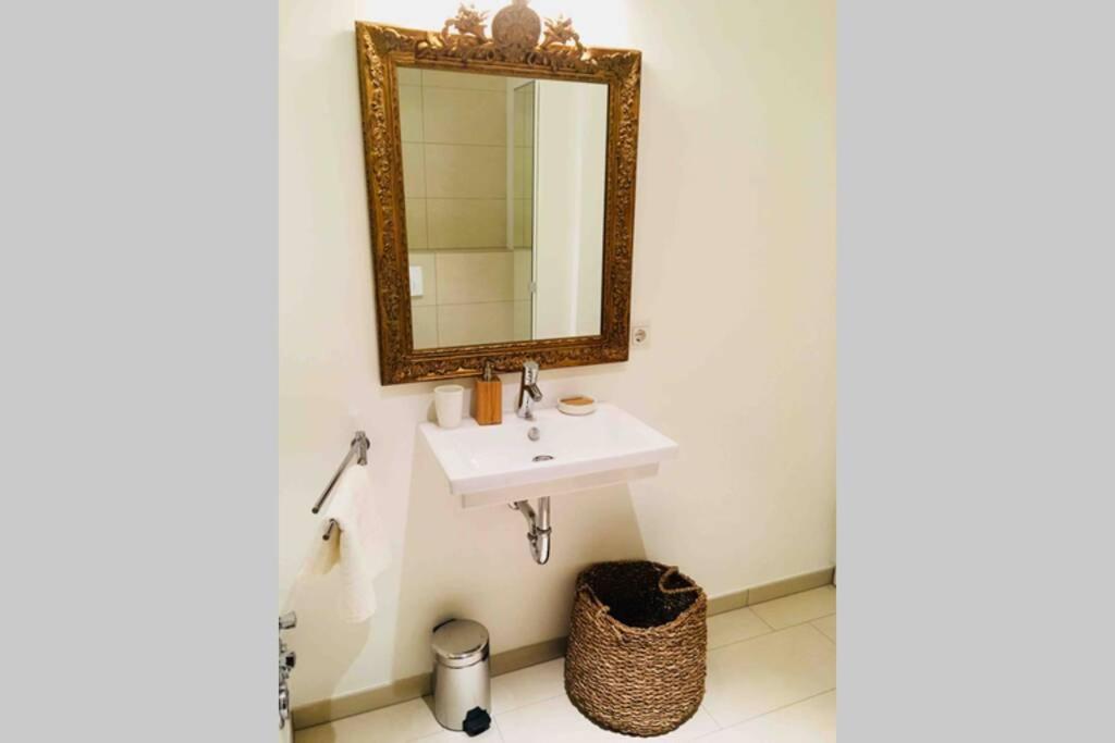 لوكسمبورغ Large Family Retro Flat In City Center- Large Terrace & Garden View, Free Parking المظهر الخارجي الصورة