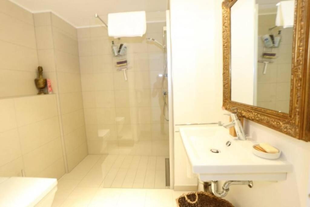 لوكسمبورغ Large Family Retro Flat In City Center- Large Terrace & Garden View, Free Parking المظهر الخارجي الصورة