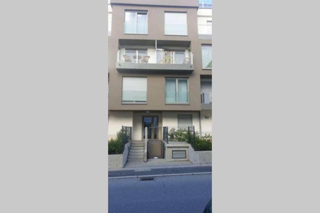 لوكسمبورغ Large Family Retro Flat In City Center- Large Terrace & Garden View, Free Parking المظهر الخارجي الصورة
