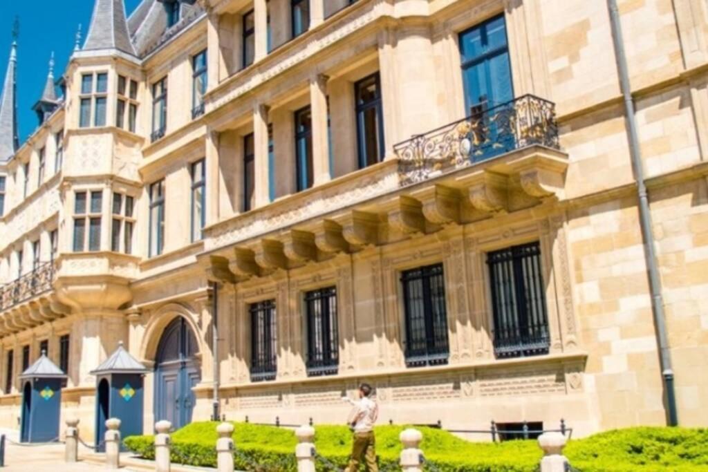 لوكسمبورغ Large Family Retro Flat In City Center- Large Terrace & Garden View, Free Parking المظهر الخارجي الصورة